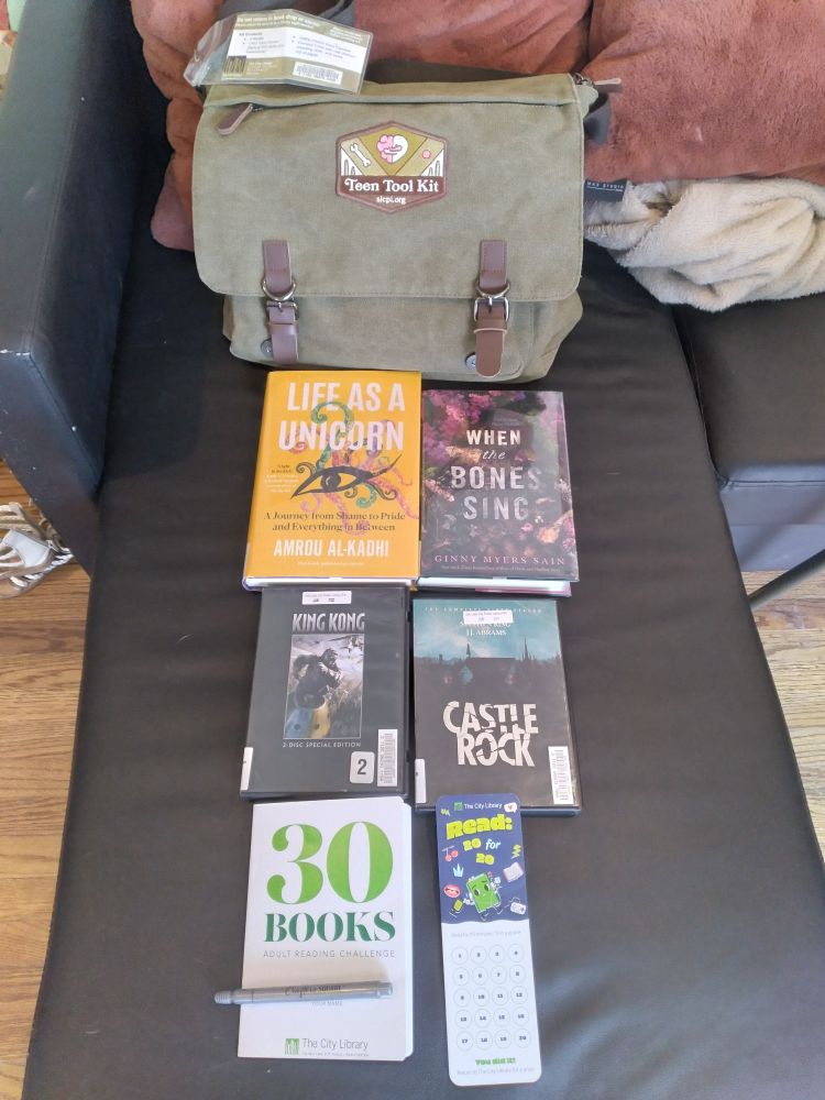 A messenger bag , two books, two movies, and two reading challenge trackers. 