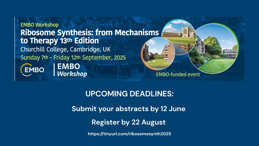 Poster: EMBO Workshop. Ribosome Synthesis: From Mechanisms to Therapy 13th Edition. Churchill College, Cambridge, UK. Sunday 7th-Friday 12th September 2025. EMBO-funded event. 