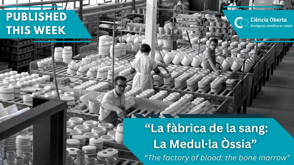 A black and white photograph of a factory - relevant to the article theme of how hematopoietic stem cells follow production lines to make our differentiated blood cells. 
Text: 'Published this week', 'Ciència Oberta - Divulgació científica en català, meaning Open Science - disseminating science in Catalan', 'La fàbrica de la sang: La Medul·la Òssia - translated to The Blood Factory: The Bone Marrow'.