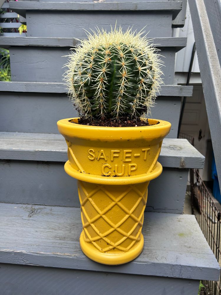 A planter shaped like a giant novelty ice cream cone with a barrel cactus. 