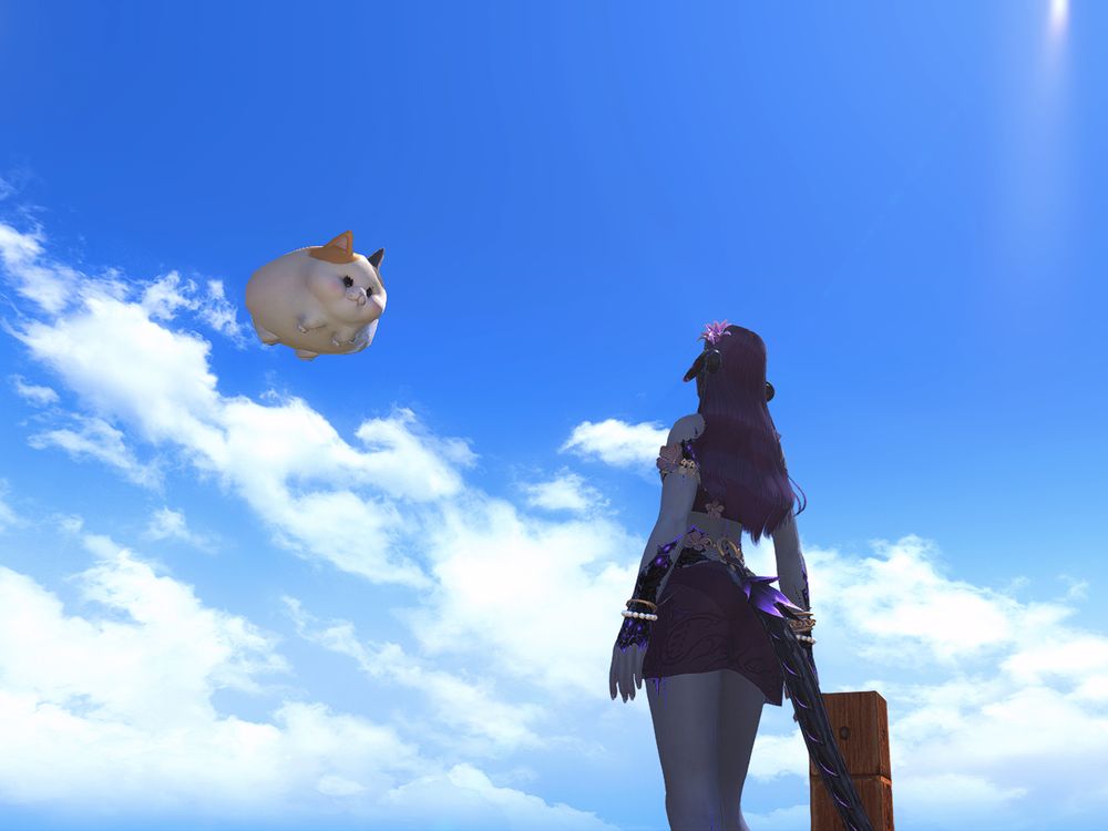 A screenshot of an Au Ra and a Fat Cat in front of the sky. The Au Ra is wearing a purple swimsuit and, albeit out of frame, standing on a wooden log from the Moonfire jumping puzzle tower. The Fat Cat is floating in the sky, for no discernible reason, and looking down at the Au Ra.