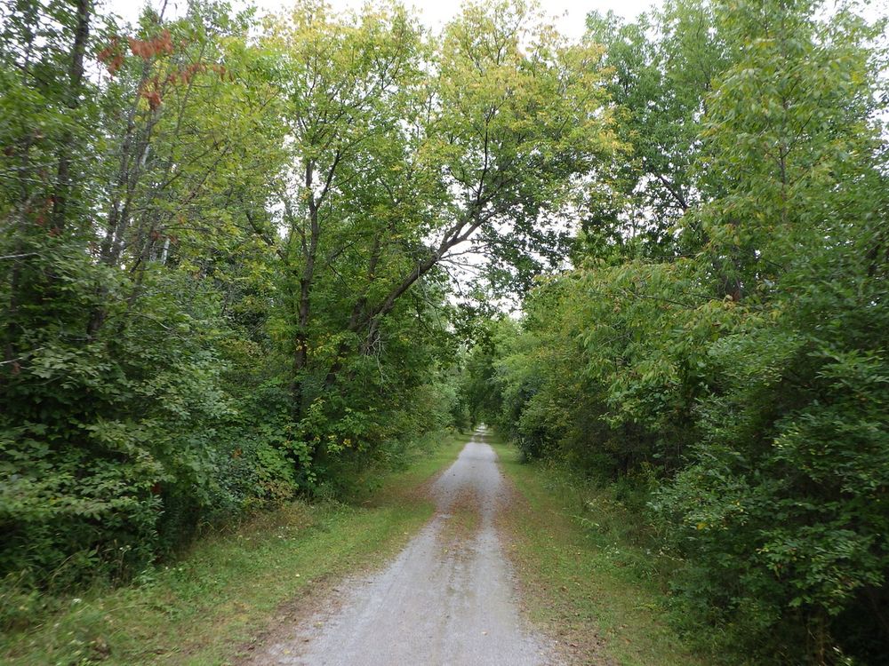 The Osgoode Link Pathway