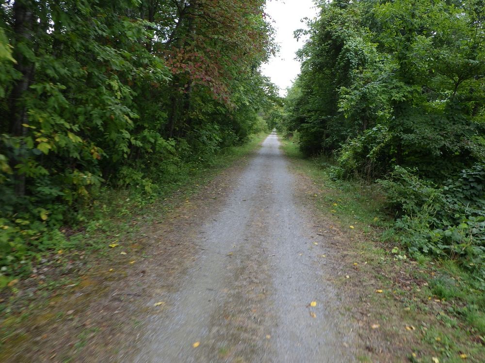 The Osgoode Link Pathway
