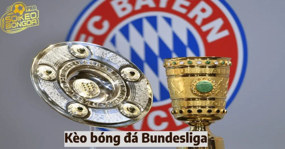 Giới thiệu về kèo bóng đá Bundesliga & Chiến thuật soi kèo