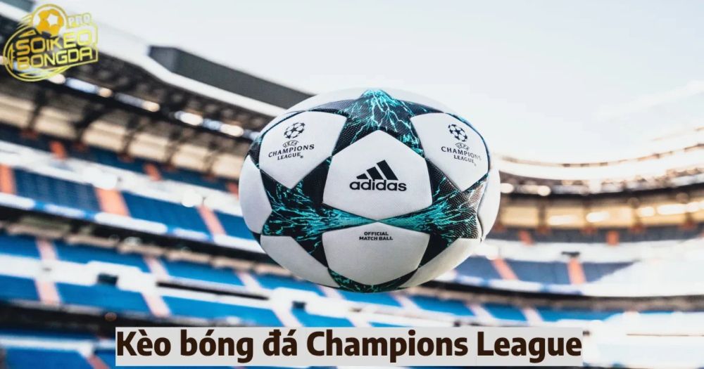 Cách đặt cược kèo bóng đá Champions League cực hiệu quả