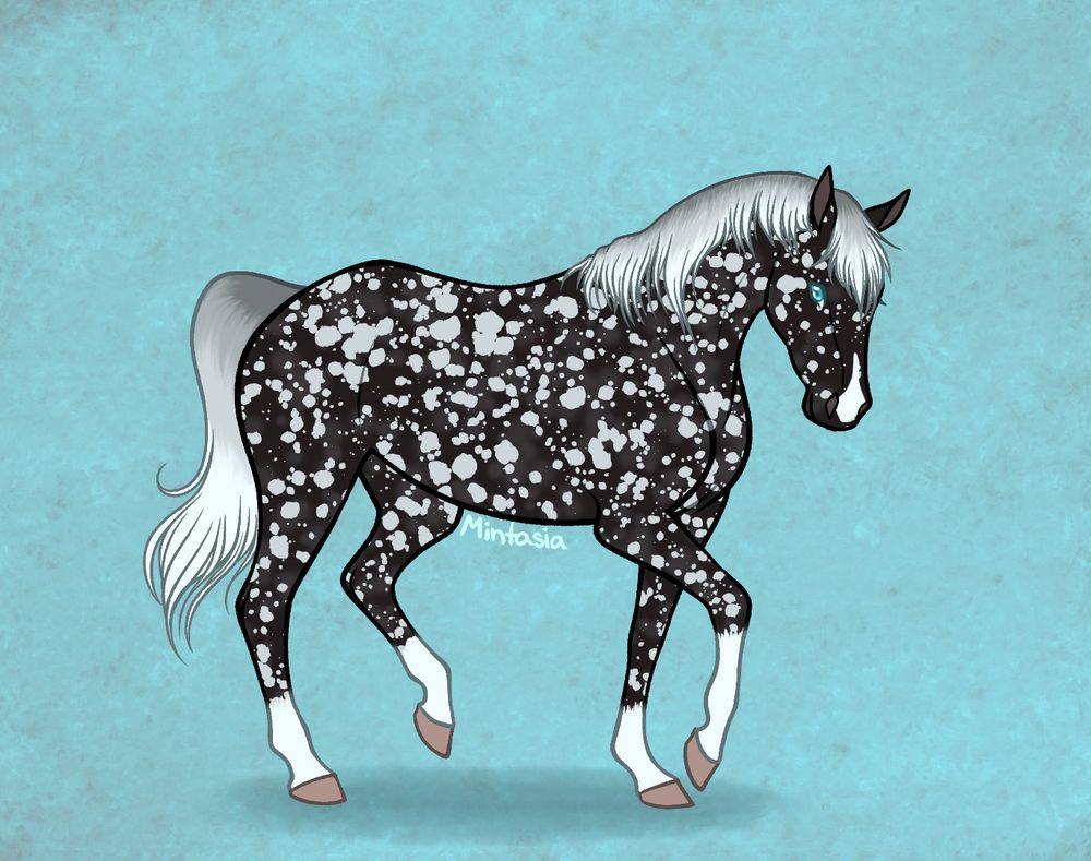 A trotting horse on a light blue background. The horse is black, with white spots and dapples all over its body, four white feet, and a mane and tail that fade from silver to white.