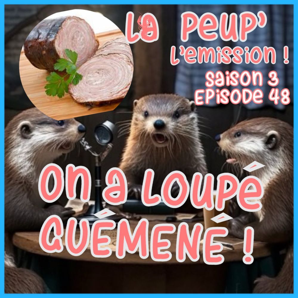 48 - Episode Quarante Huitième : Lapeup' ! On a loupé Guémené ! - ...