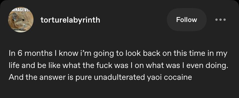 tumblr user torturelabyrinth
In 6 months I know i’m going to look back on this time in my life and be like what the fuck was I on what was I even doing. And the answer is pure unadulterated yaoi cocaine