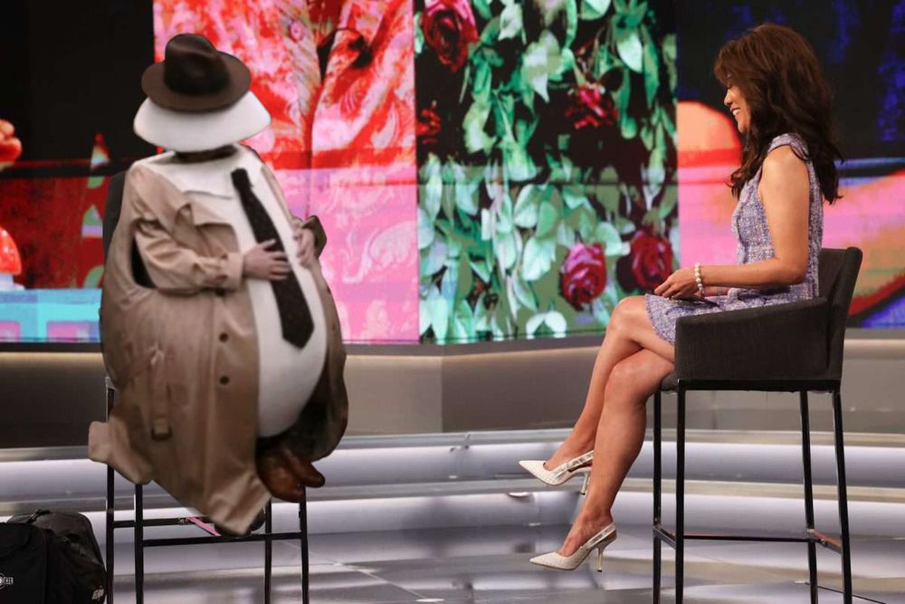 Julie interviewing the evicted big brother houseguest except it’s edited to be BB27 vince as an egg detective in the other chair 