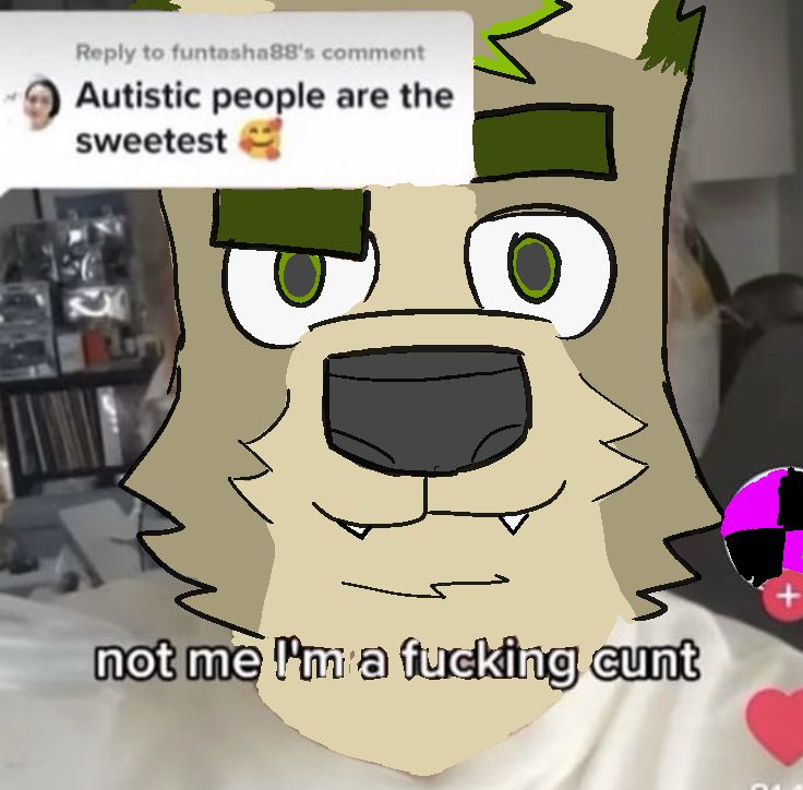 A shitpost drawing over a screenshot from TikTok featuring my fursona with texts "Autistic people are the sweetest 🥰", "not me I'm a fucking cunt"