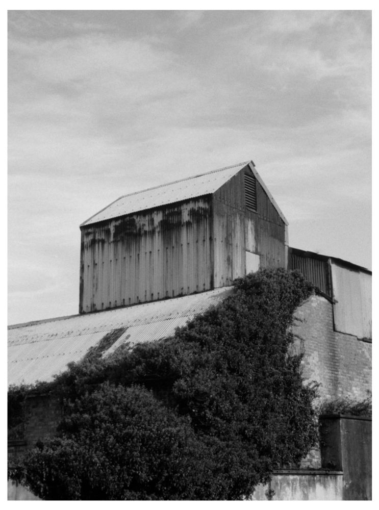 The extended roof line of a factory looks like a giant rusty corrugated shed has been put on top of it. B&W and shot on Kentmere 200 35mm film. 