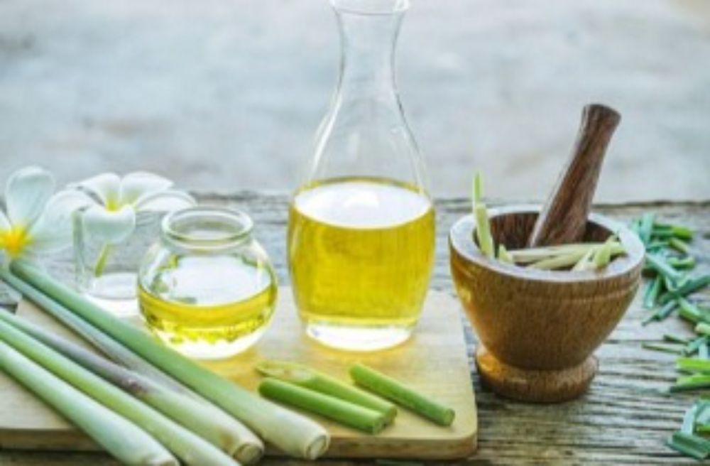 Thailand medical study unveils Lemongrass oil’s powerful anticancer and antimicrobial properties - Thailand Medical News