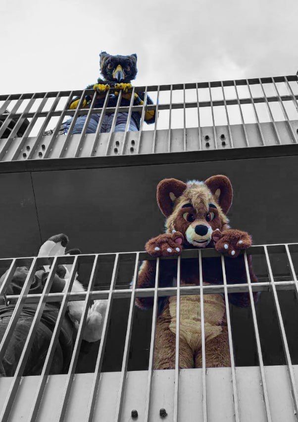 A Tanuki fursuiter peering over railings, watched by an Griffin fursuiter on a higher level.
