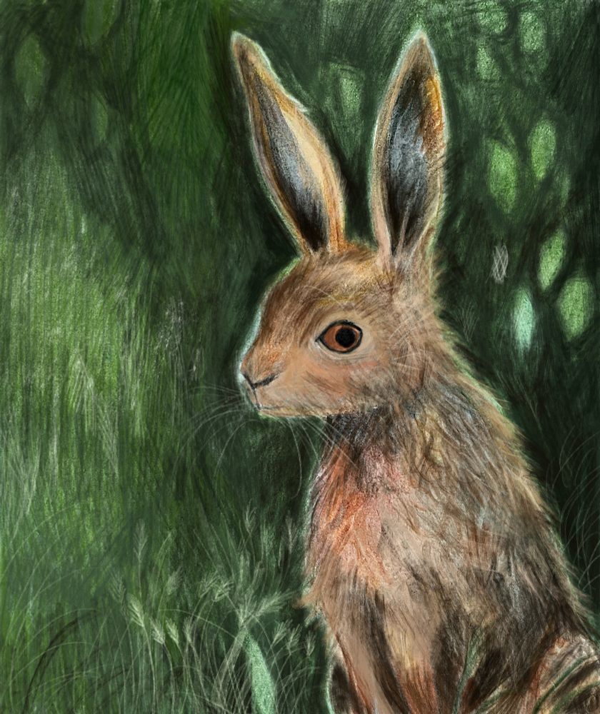 An illustration of a hare sitting against a green wild background 