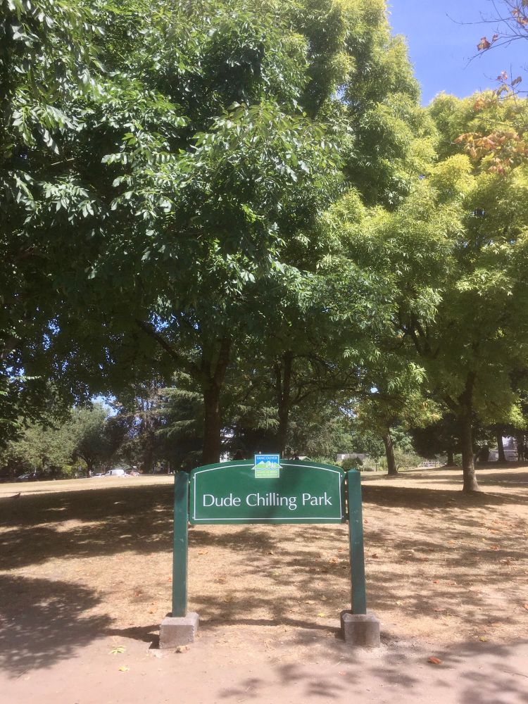 Dude Chilling Park is a sign installation, originally created as a prank, which now has official public art status in Vancouver, British Columbia, Canada.