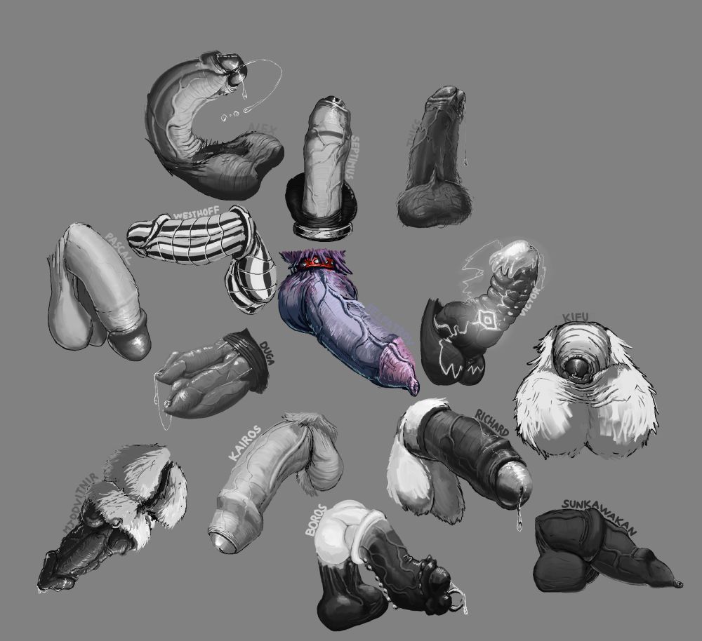 A bunch of varied dongs