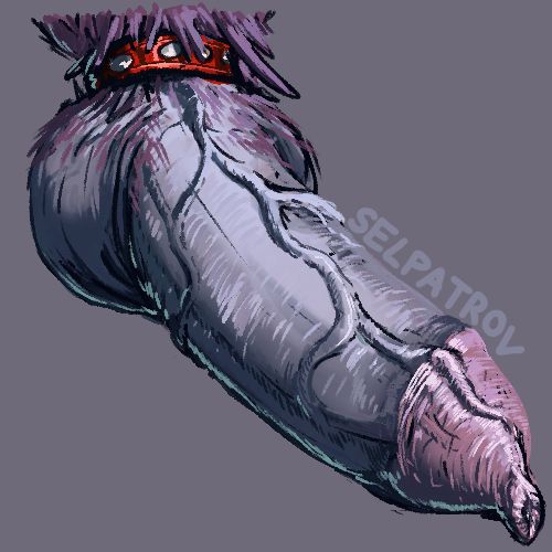 A hairy goblin cock in a tight red leather cockring