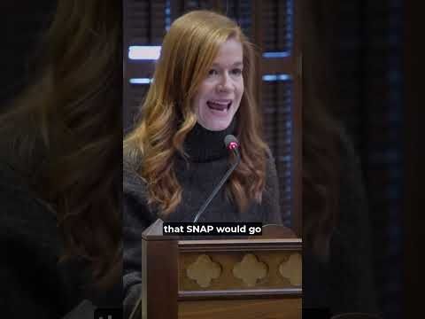 WATCH: Sen. Mallory McMorrow on SNAP benefits