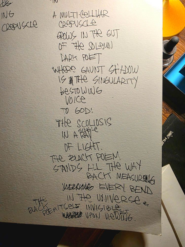a multicellular crepuscle grows in the gut of the solemn dark poet poet where gaunt shadow is the singularity bestowing voice to god: the scoliosis in a single ray of light. the black poem stands all the way back measuring every bend in the universe, the black poem, itself, invisible upon first viewing.