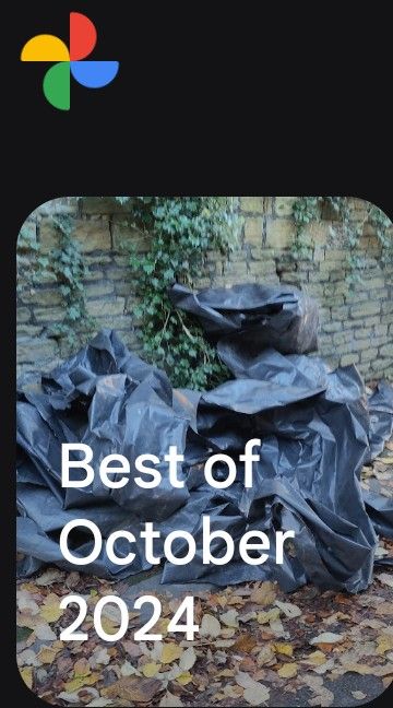 The logo of Google photos above a picture of black plastic bin bags against a stone wall. Caption reads "Best of October 2024"