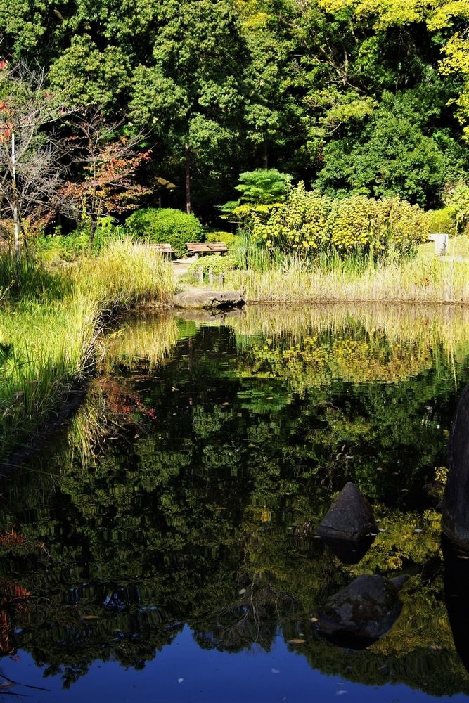 リフレクション