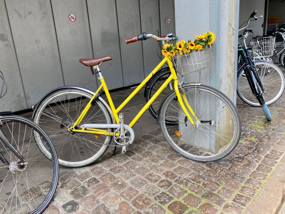 Ein gelbes Fahrrad ist an eine Betonsäule gelehnt. Am Lenker ist ein Fahrradkorb angebracht, der mit gelben Sonnenblumen verziert ist. Rechts und links sind weitere Räder zu sehen. Im Hintergrund ist eine Betonwand, der Boden ist gepflastert.
