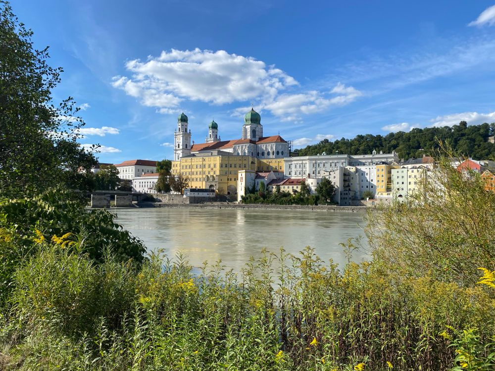 Im Vordergrund Sträucher und Gräser. Über einen Fluss blickt man auf Stadt mit vielen Gebäuden und Kirchtürmen. Im Hintergrund Wald und einen wolkigen blauen Himmel.