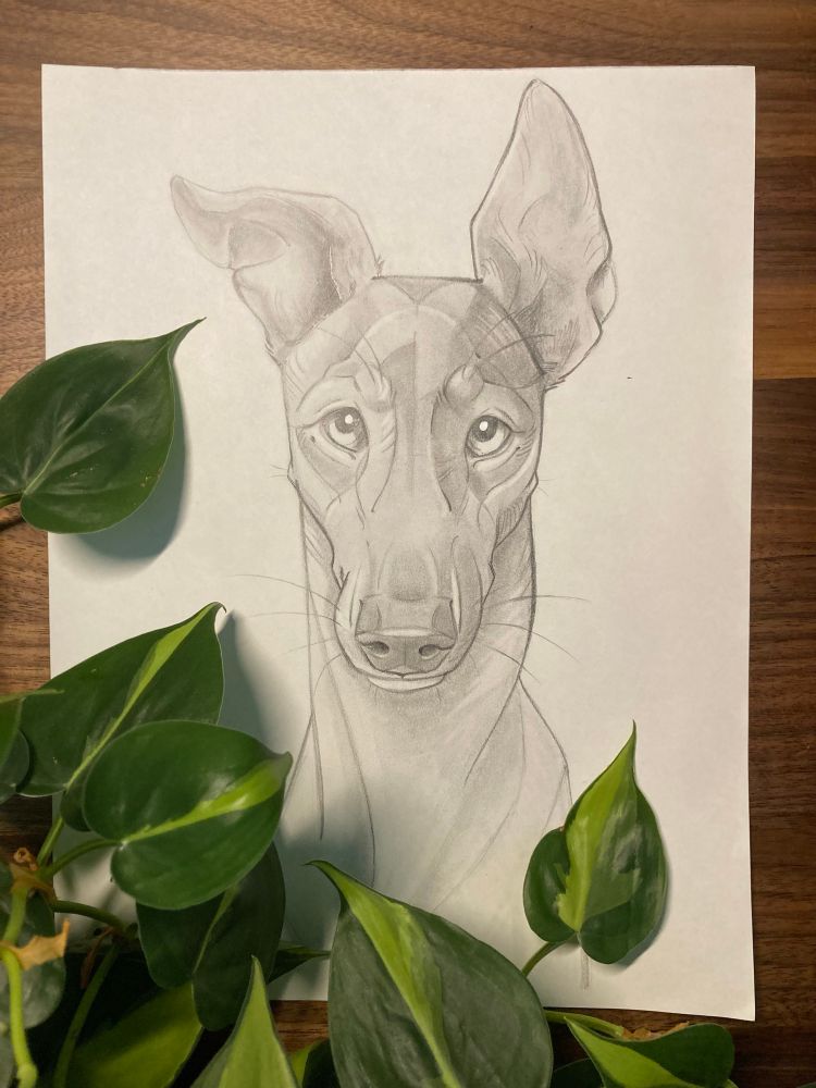 Art
Greyhound
Graphite Drawing