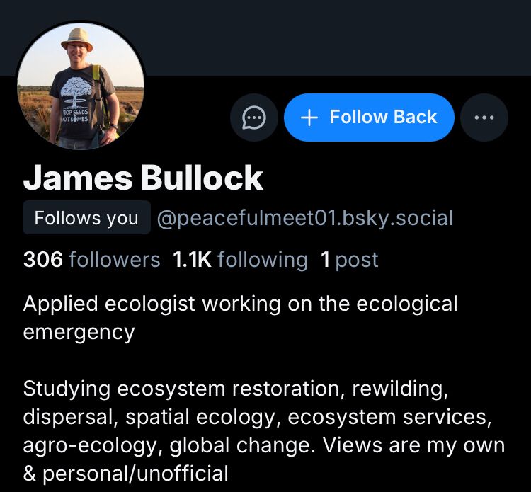 Screenshot of impersonating account