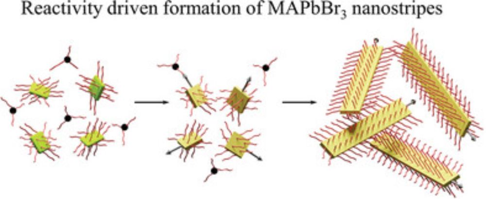 Colloidal Quasi‐2D Methylammonium Lead Bromide Perovskite Nanostructures with Tunable Shape and High Chemical Stability