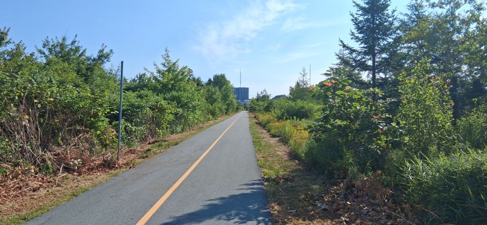 An asphalt multi-use path with yellow line down the center and green vegetation of various heights on either side. The immediate edges have been recently mowed. Buildings are visible in the background.