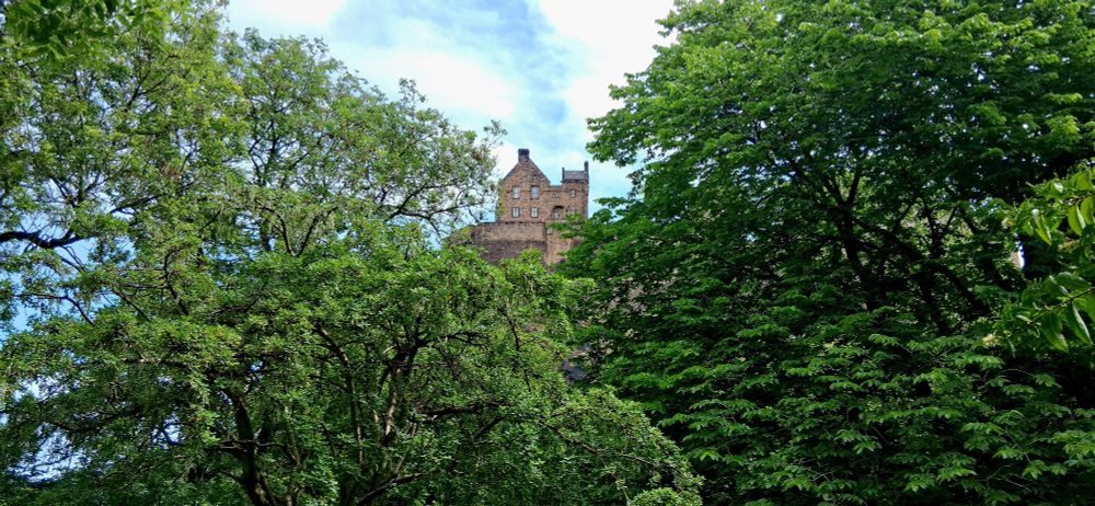 Another view of the castle looking up through the trees