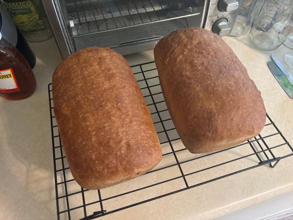 Two loaves of bread on a wire rack on a countertop