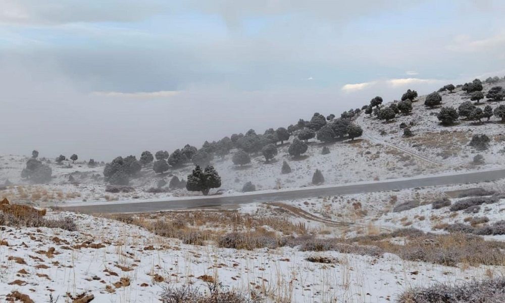 Image from image_2.jpg