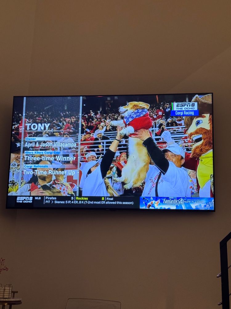 Last year’s Corgi Racing champion and a mascot 