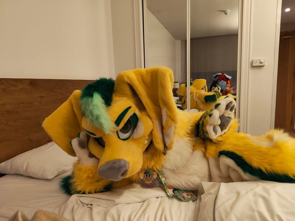 Big yellow and white dachshund dog fursuit based on neopets with a lilo and stitch collar and a lime green hair tuft and an angry expression on a bed with a sexy pose.