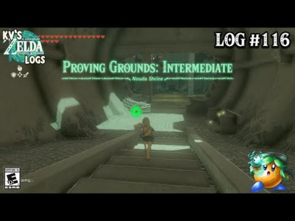 Intermediate Level ~ KV's Tears of the Kingdom Logs | Log #116