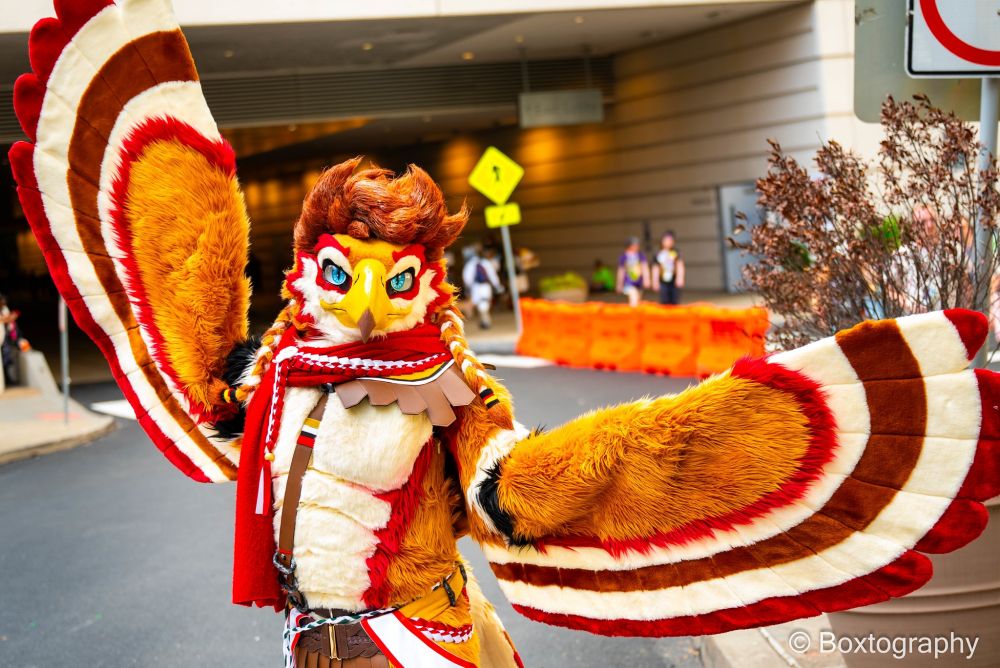 Rito fursuit with wings spread wide.