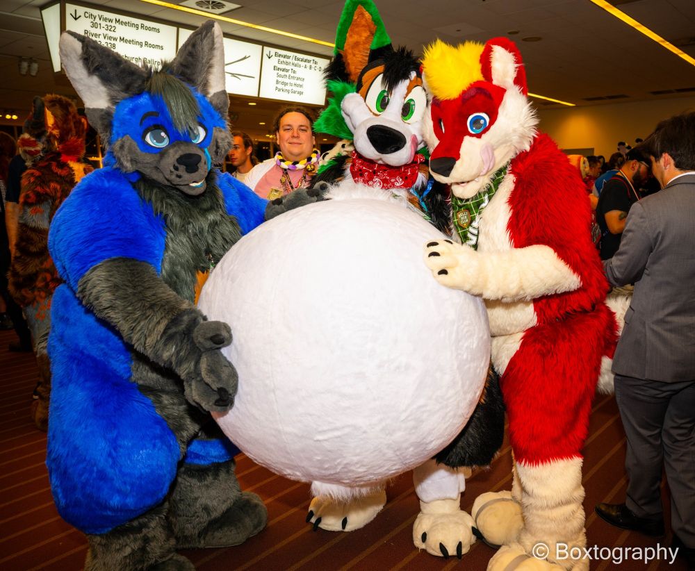 Zuel in the giant belly suit with Monty and Niky on either side with their paws on it.