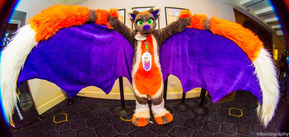 A fish eye shot of a bat fursuit with wings spread wide open that makes the wings look absolutely massive.