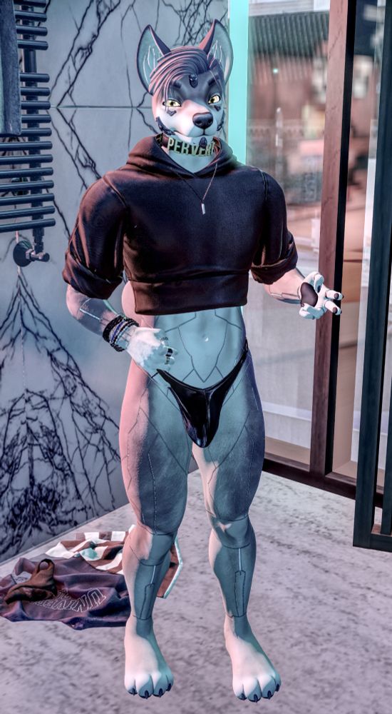 anthro cyber paprika colored dog posing for a #nationalunderwearday wearing a fat thong and a cropped hoodie!