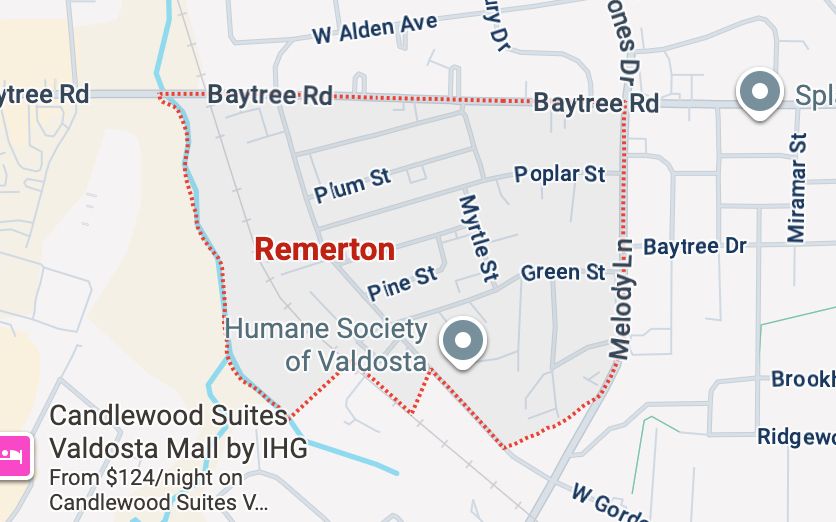 Screenshot of a map of Remerton, GA