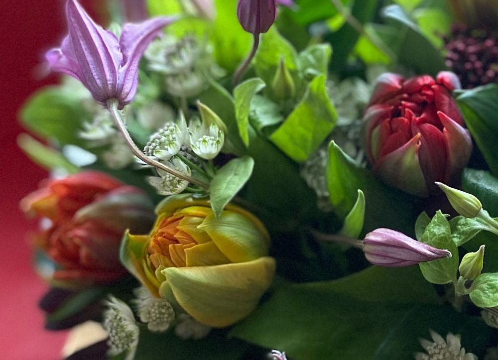 Ausschnitt Blumenstrauß, gefüllte Tulpen in Rot und Orange, violette Clematis und weitere Pflanzen