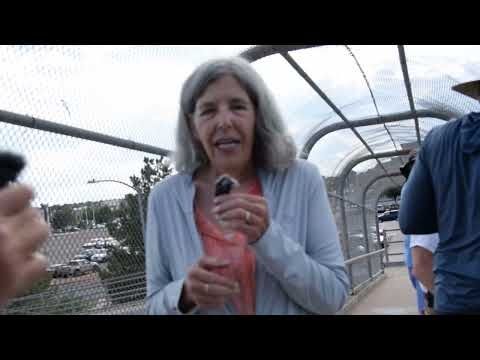 Bridge Protestors