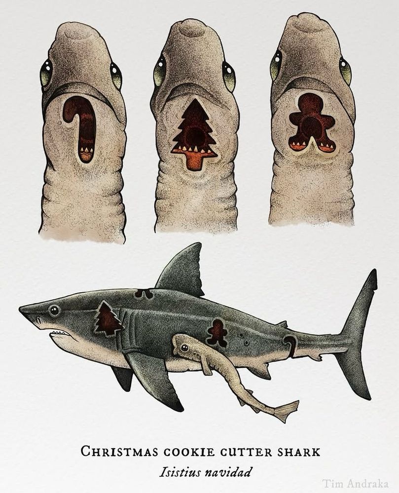 A painting of a cookie cutter shark that cuts Christmas themed holes 