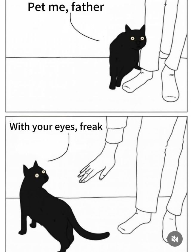 The image is a two-panel comic featuring a black cat and a person. In the first panel, the cat is next to the person's leg and says, "Pet me, father." In the second panel, the person reaches to pet the cat, and the cat responds, "With your eyes, freak." The comic humorously depicts the cat's contradictory behavior.