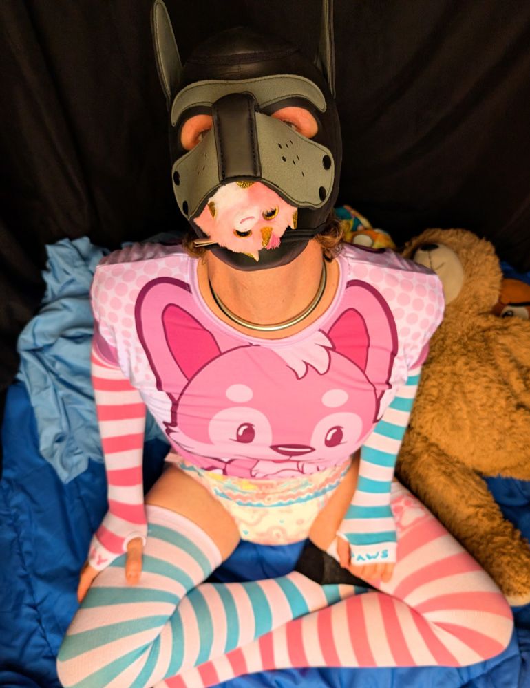 Babyfur puppy sitting, wearing a pup hood, holding a pink, round beanie baby in its mouth.  He's wearing a pink puppy shirt along with pink and blue thigh-high socks and arm warmers, with alternating light-blue and light-pink colors between the sides and from top to bottom.  His diaper is a pink bunnyhopps.