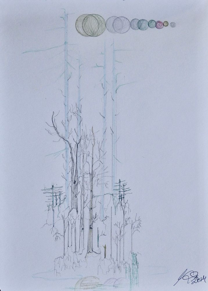 planets trees roots