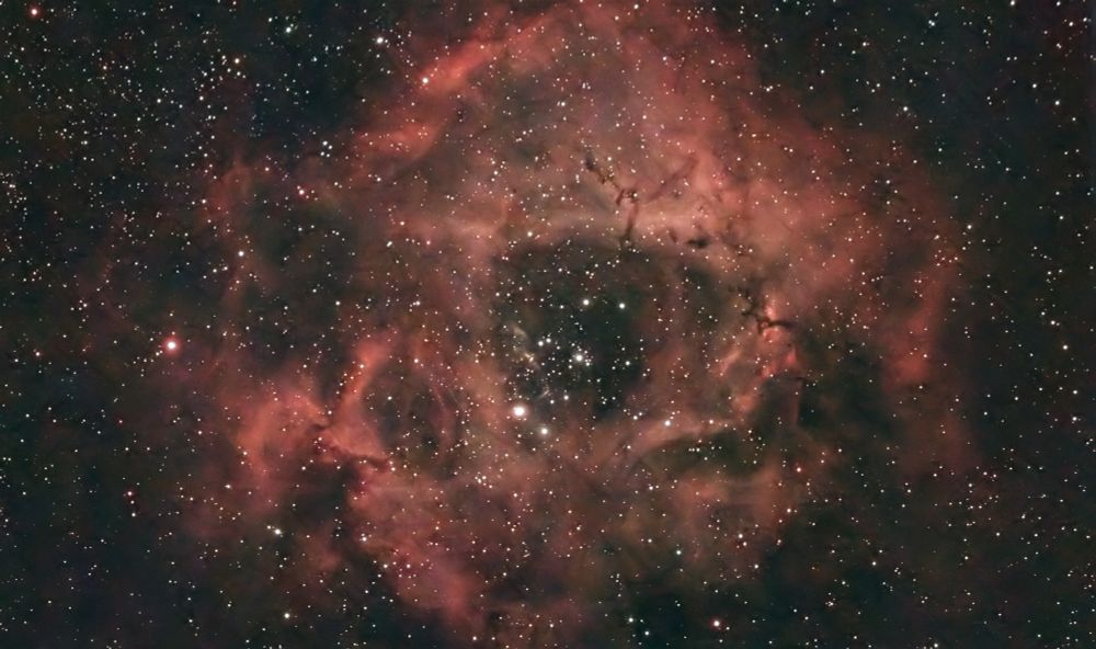 A cloud of gas slowly collapsing into multiple newborn stars, NGC 2244, the Rosette Nebula, contains as much material as 10,000 suns.