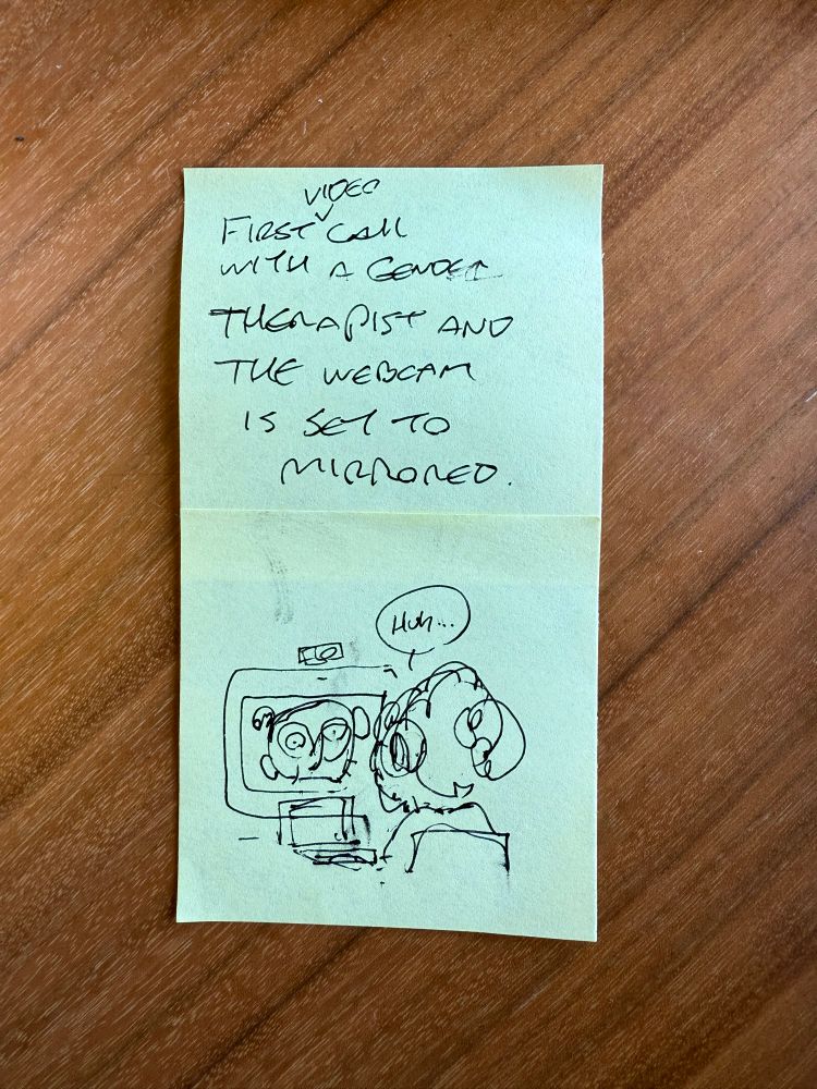 Photograph of post-it notes. Scrawled on the first note: “First video call with a gender therapist and the webcam is set to mirrored”. The second post it had a crude drawing of myself seated at a computer, back to the reader, as the distorted reflection of my face is shown to me through the webcam. My character says: “Huh..”